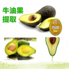 China Natürliche Avocado-Extrakt-Fabrik