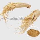 La fábrica de China Extracto de ginseng americano