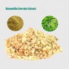 Кита экстракт Boswellia завод