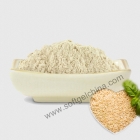 China Rice Protein Powder factory