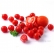 China Lycopene Softgel exporter